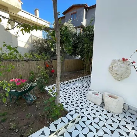With Swiming Pool 360 View * Geyikbayırı